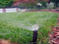 post-irrigation