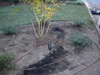 Landscape Lighting by Outdoor Images