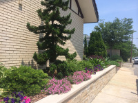 Landscape Maintenance by Outdoor Images