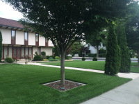Landscape Maintenance by Outdoor Images