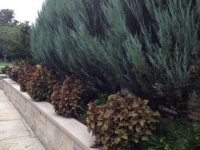 Bluestone Patio by Outdoor Images