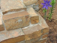 Landscaping & Gardening by Outdoor Images