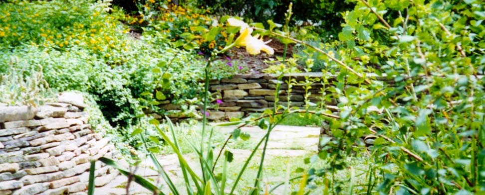 Landscape Contractors Raleigh-Wake Forest- Zebulon | Outdoor Images Inc